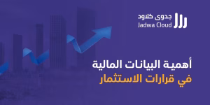 أهمية البيانات المالية في قرارات الاستثمار